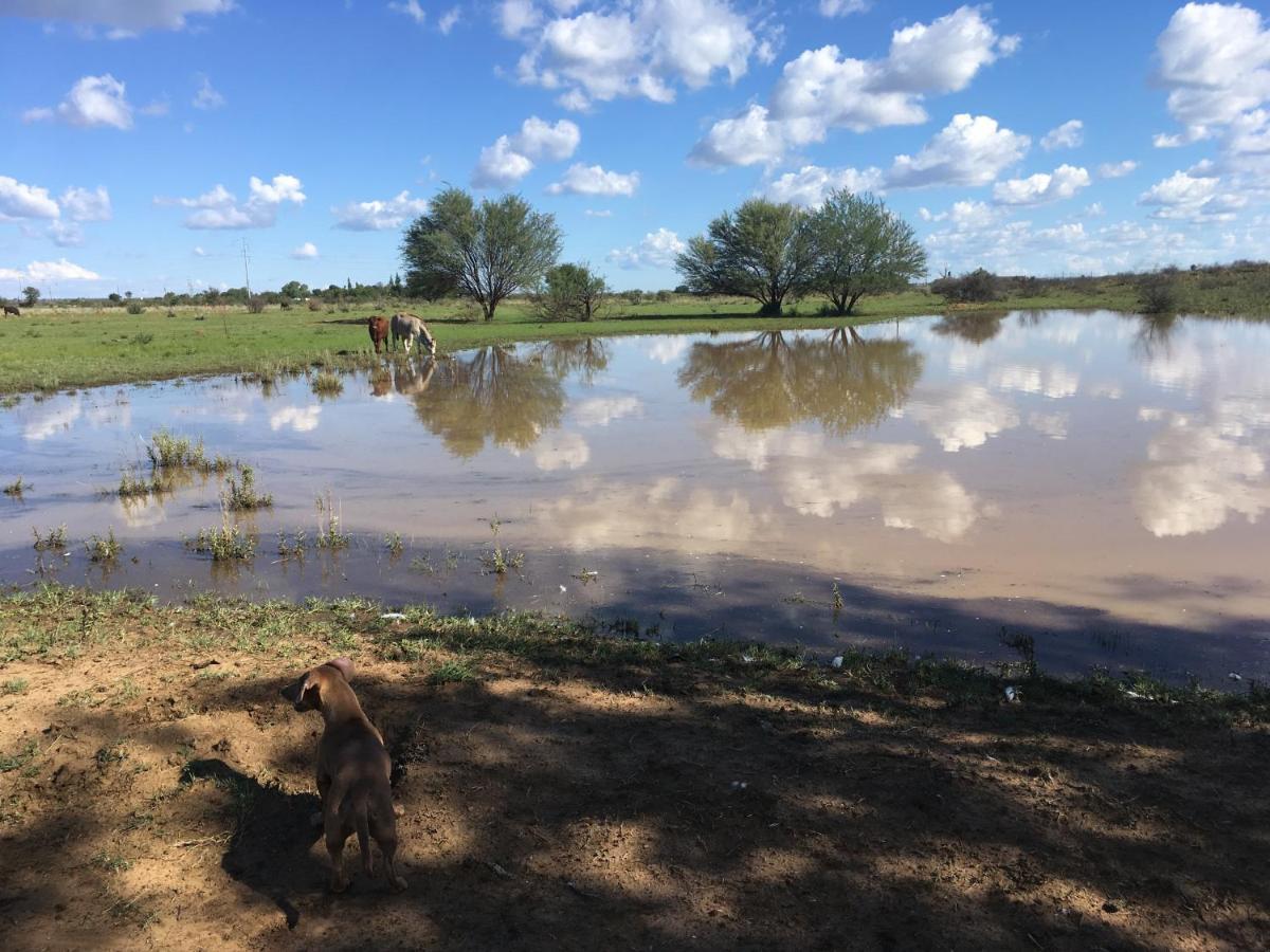 Villa Lin-Zane Vryburg Esterno foto